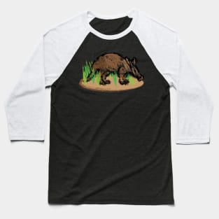 Aardvark Artwork Baseball T-Shirt